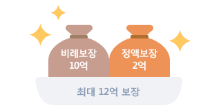 비례보장 10억, 정액보장 2억, 최대 12억