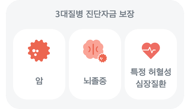 3대질병 진단자금 보장 - 암, 뇌졸증, 특정 허혈성 심장질환