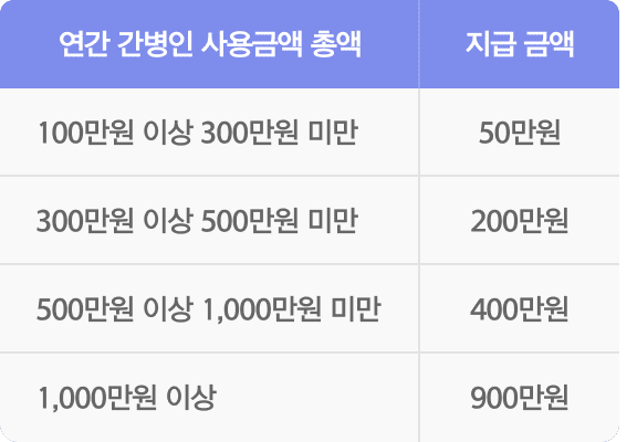 연간 간병인 사용금액 총액 설명표