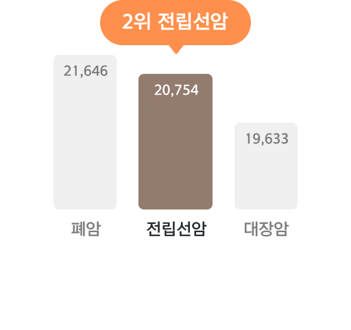 Group - 초기외유방,생식기암(여성/남성) / 두경부암 / 위암 및 식도암 / 소장,대장,항문암및기타암 / 간,담낭,담도암및췌장암 / 흉곽내기관,중피성암 및 연조징암 / 골,피부 등 전신부위암 / 비뇨기관,초기외갑상선,부신암 및 내분비선암 / 뇌암 및 중추신경계통암 / 혈액암